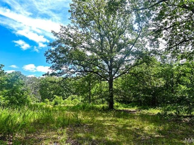 Land for sale in Osceola, Missouri