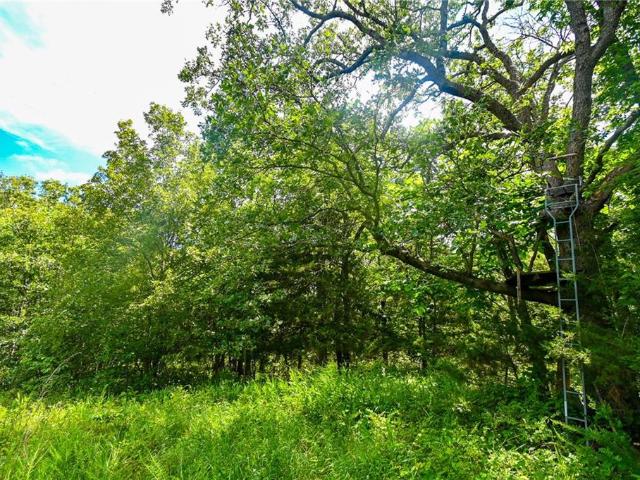 Land for sale in Osceola, Missouri