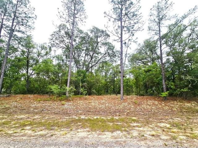 Land for sale in Dunnellon, Florida