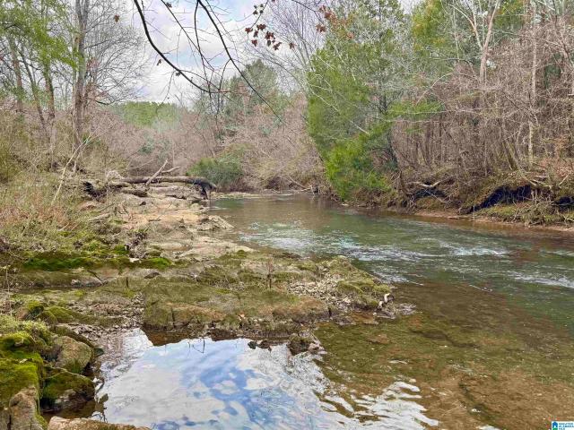 House for sale in Wilton, Alabama