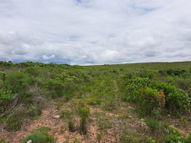 Farm for sale in Groot Brak Rivier, Western Cape