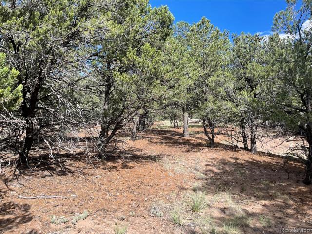 Land for sale in Crestone, Colorado