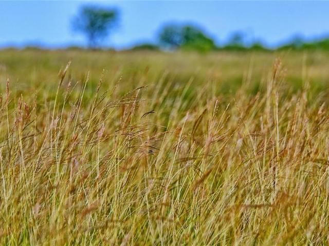 Land for sale in Clay, Texas