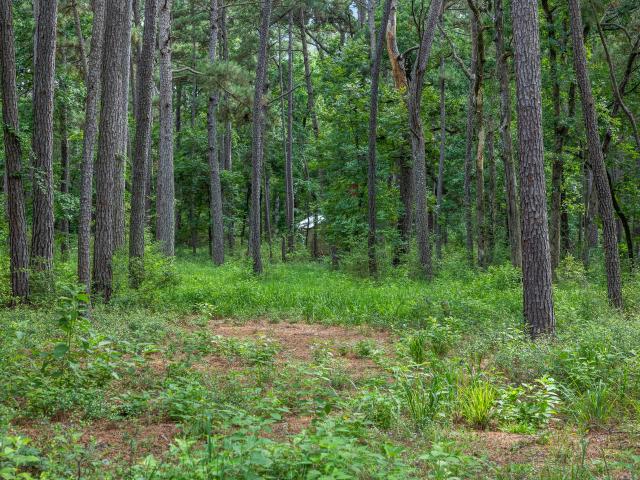 Land for sale in Leon, Texas