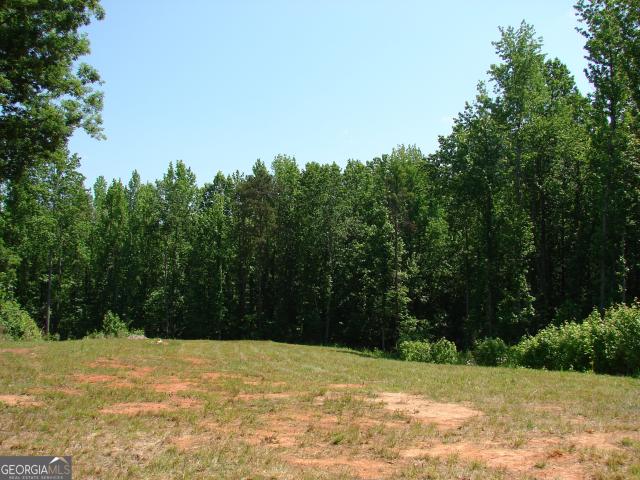 Land for sale in Flowery Branch, Georgia