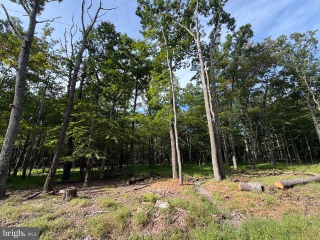 Land for sale in Zion Grove, Pennsylvania