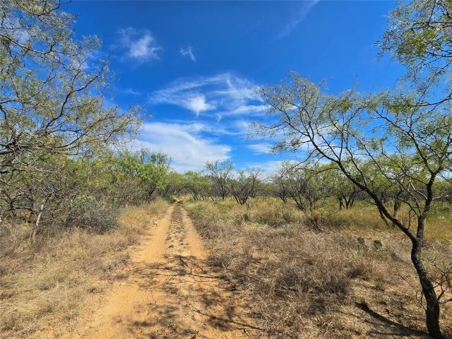 Land for sale in Rochelle, Texas