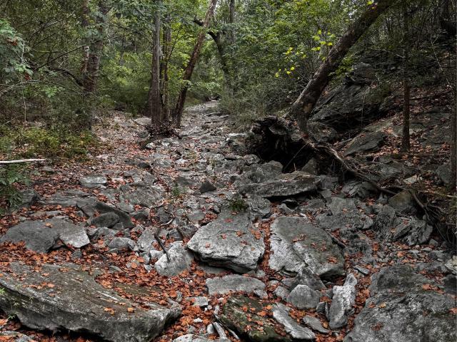 Land for sale in La Grange, Texas