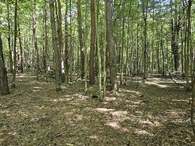 House for sale in Pullman, Michigan
