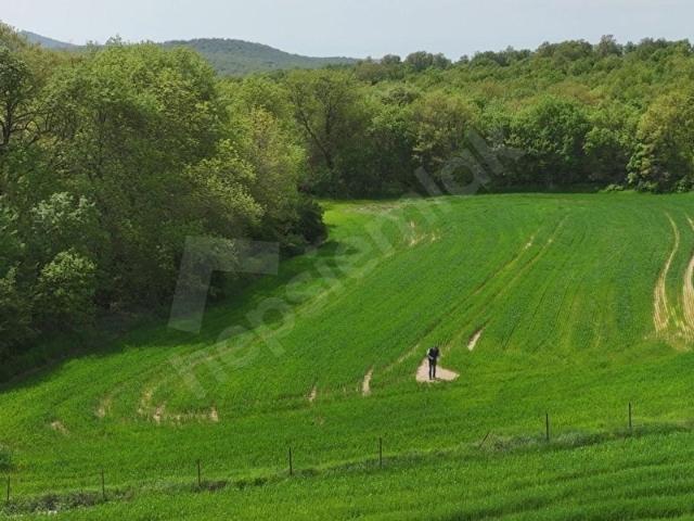 Kalkansöğüt, Lalapaşa içerisinde satılık Arsa