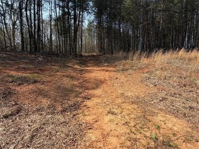 Land for sale in Catawba, North Carolina