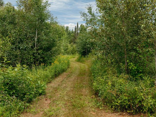 Land for sale in Minnesota