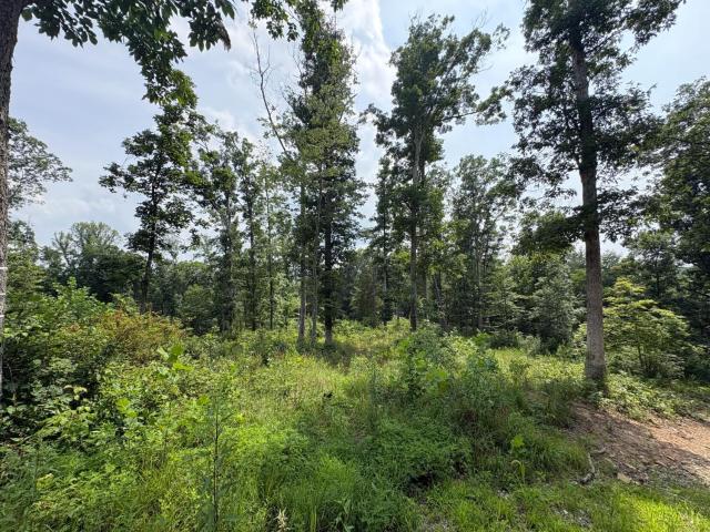 Land for sale in Peebles, Ohio