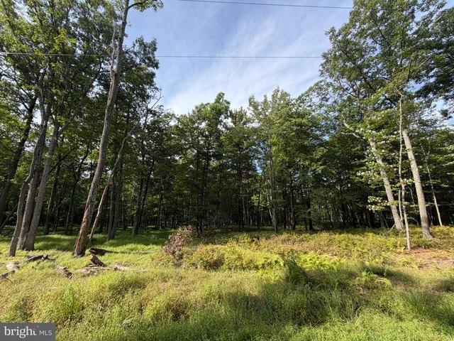 Land for sale in Zion Grove, Pennsylvania