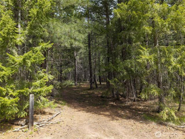Land for sale in Mazama, Washington
