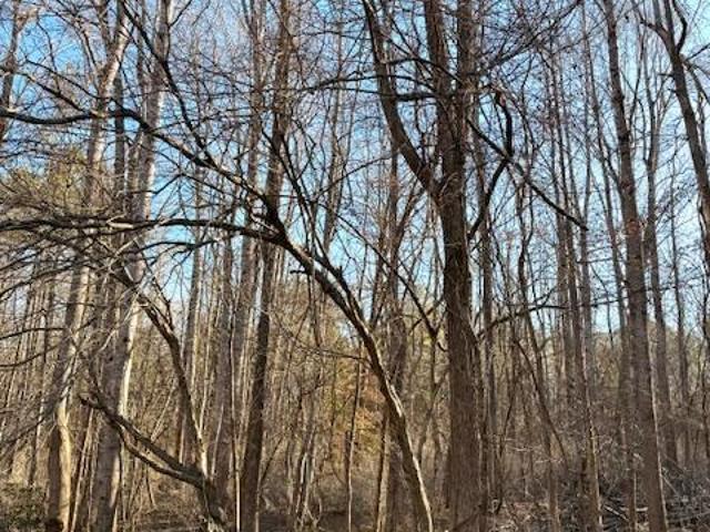 Land for sale in Chatham, North Carolina