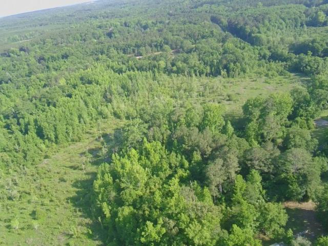 Land for sale in Dry Branch