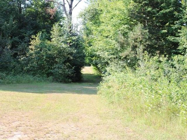 Land for sale in Clare, Michigan