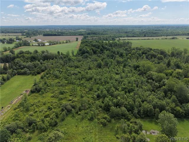 Land for sale in Clarence, New York