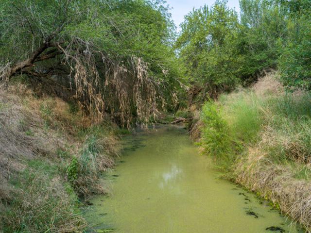 Farm for sale in La Salle, Texas