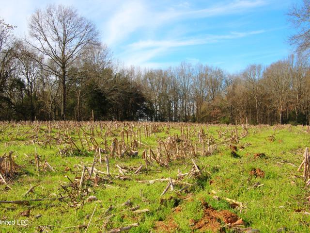 Land for sale in Mississippi