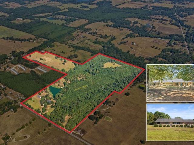 Farm for sale in Pittsburg, Camp County