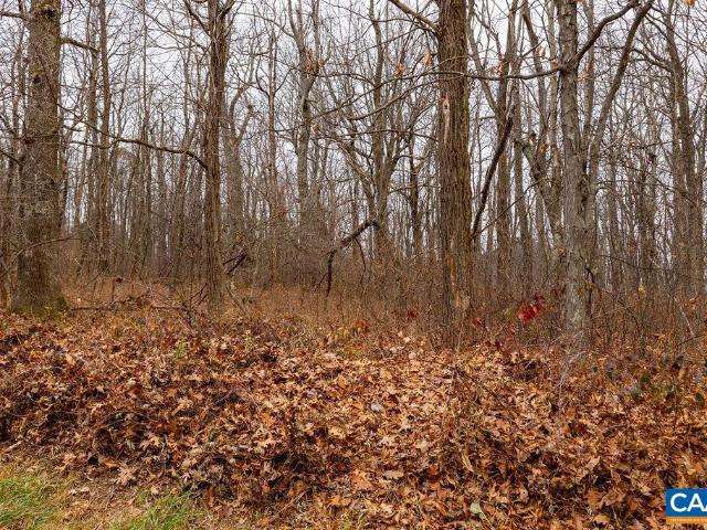 Land for sale in Virginia