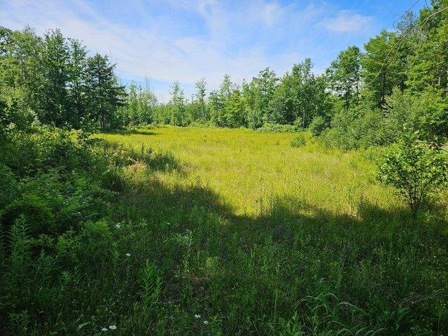 Land for sale in Harrison, Maine