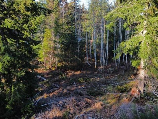 Land for sale in Forks, Washington