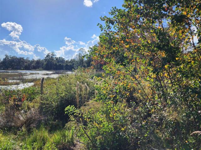 Land for sale in Pomona Park, Florida