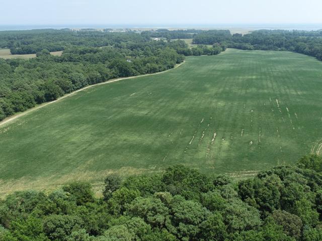 Land for sale in Virginia