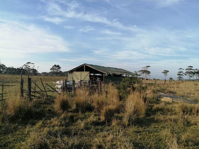 Farm for sale in Bisho, Eastern Cape