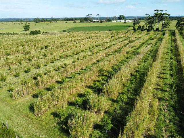 Farm for sale in Bisho, Eastern Cape