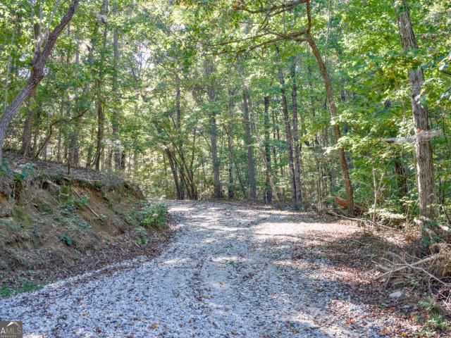 Land for sale in Hollingsworth, Baldwin