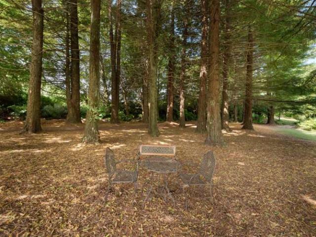 Property for sale in Te Puna, Bay Of Plenty