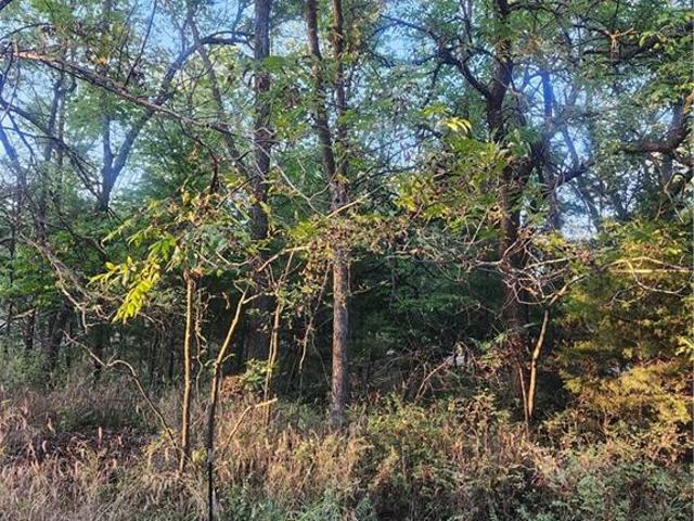 Land for sale in Linn Valley, Linn County