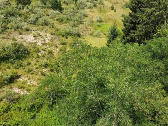 Land for sale in Terra Alta, West Virginia