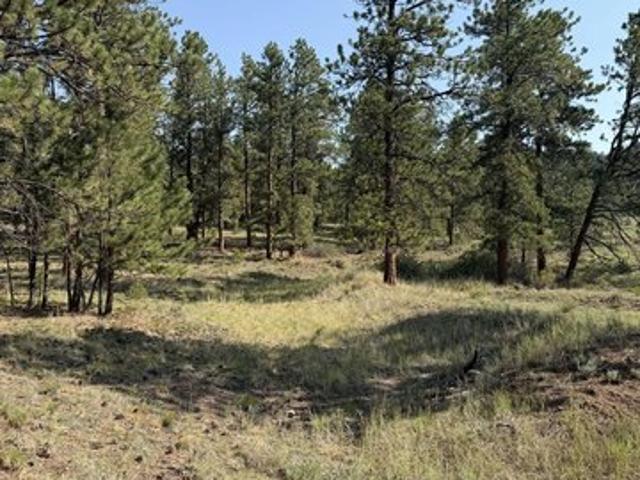 Land for sale in Custer, Colorado
