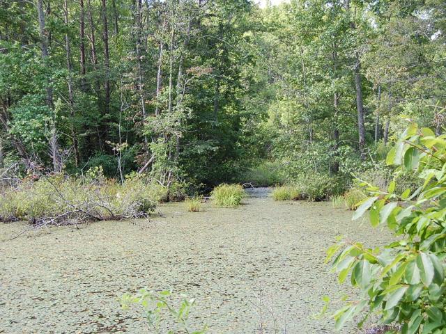 Land for sale in Tennessee