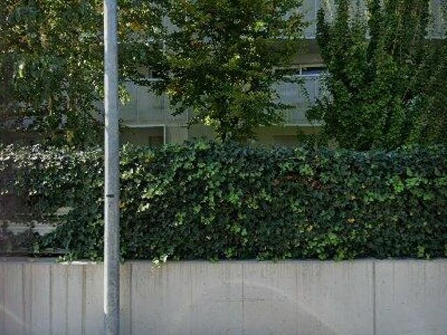 Apartment mieten in Arbedo-Castione, Tessin