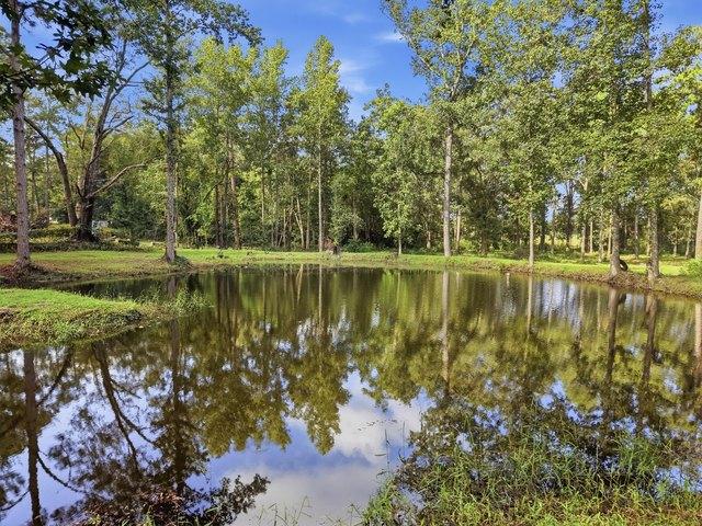 Land for sale in Laurel Hill, Okaloosa County