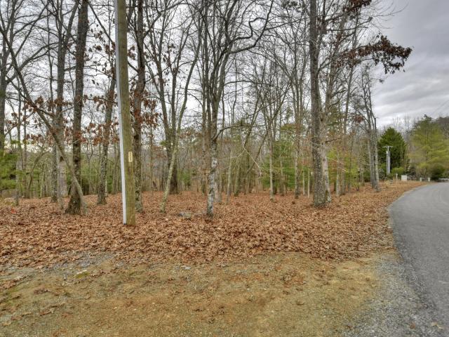 Land for sale in Georgia