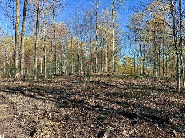Land for sale in Empire, Michigan