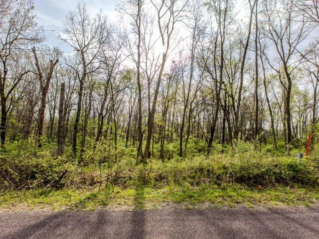 Land for sale in Mackinaw, Illinois