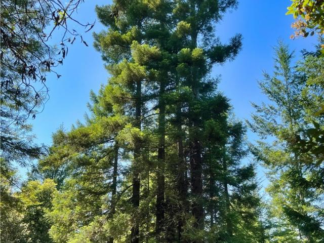 Land for sale in Comptche, California