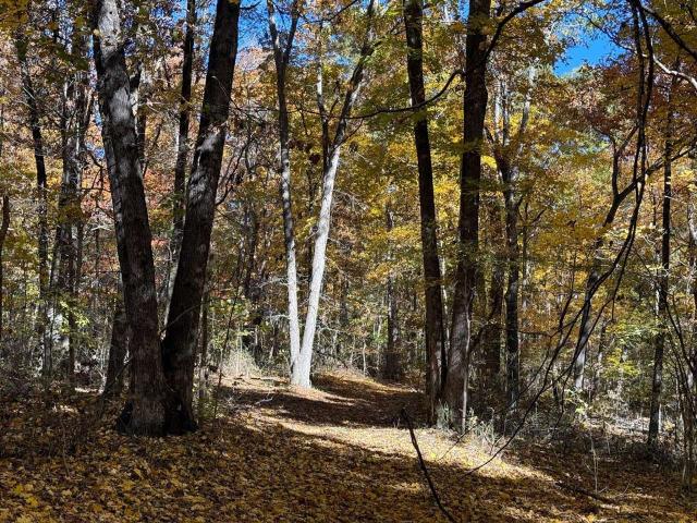 Land for sale in Bowling Green, Kentucky
