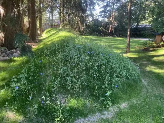 Condo for rent in Hilliers, British Columbia
