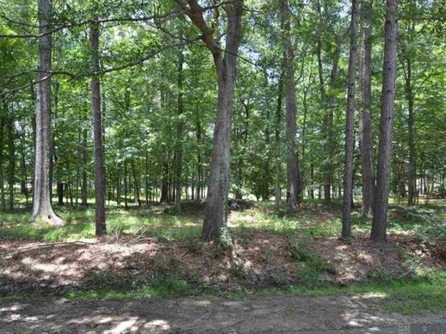 Land for sale in Saint Francisville, Louisiana