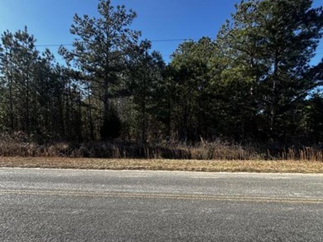 Land for sale in Pinewood, South Carolina