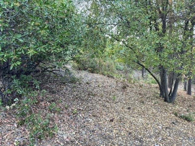 Land for sale in Murphys, Calaveras County